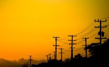 Power lines and trees in California at sunset.