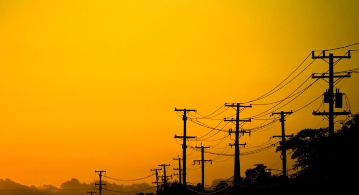 Power lines and trees in California at sunset.