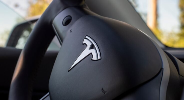 Tesla logo on steering wheel