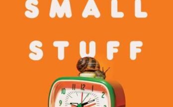 Book cover of The Small Stuff