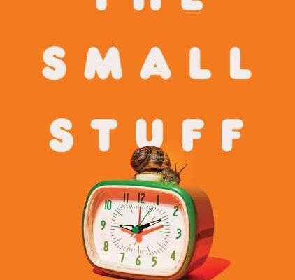 Book cover of The Small Stuff