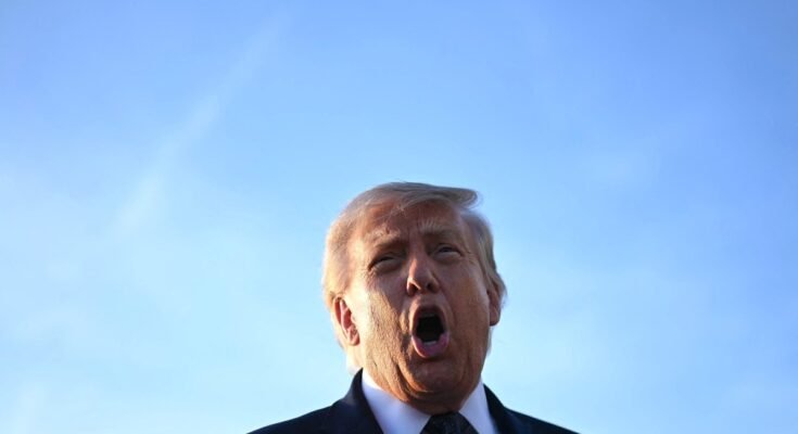 US President Donald Trump addresses the media on the tarmac after arriving at Paris Orly Airport.